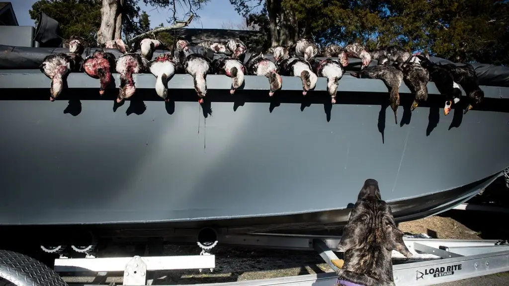 Dead Ducks: Как я обнаружил настоящую проблему с движением в защиту жизни