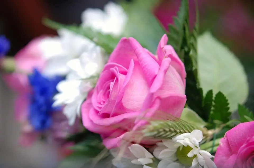 Материнство сада, защищающего жизнь