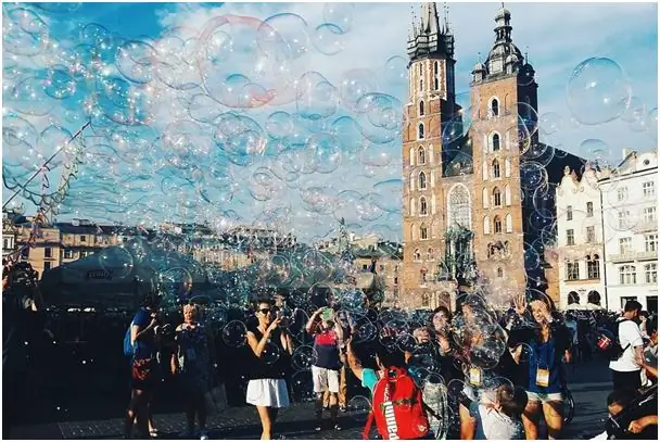 Аист доставляет младенцев из Кракова (и другие вещи, которые вы могли не знать о Польше)