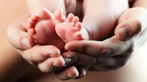 Силы, остановившие защиту нерожденных, чувствующих боль