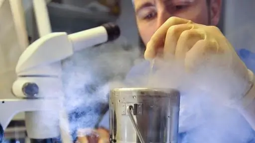 Настоящая причина, по которой учительница Эмили Херкс была уволена за использование ЭКО