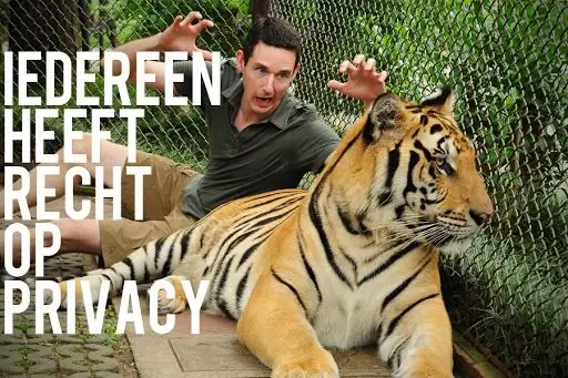 Мы должны заботиться о собственном пчелином воске и позволить Папе Римскому быть Папой