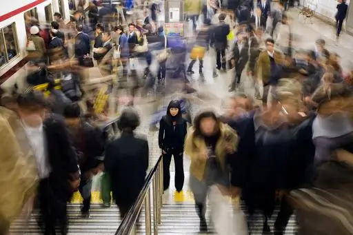 Church's Католицизм охватывает все человечество, Папа говорит