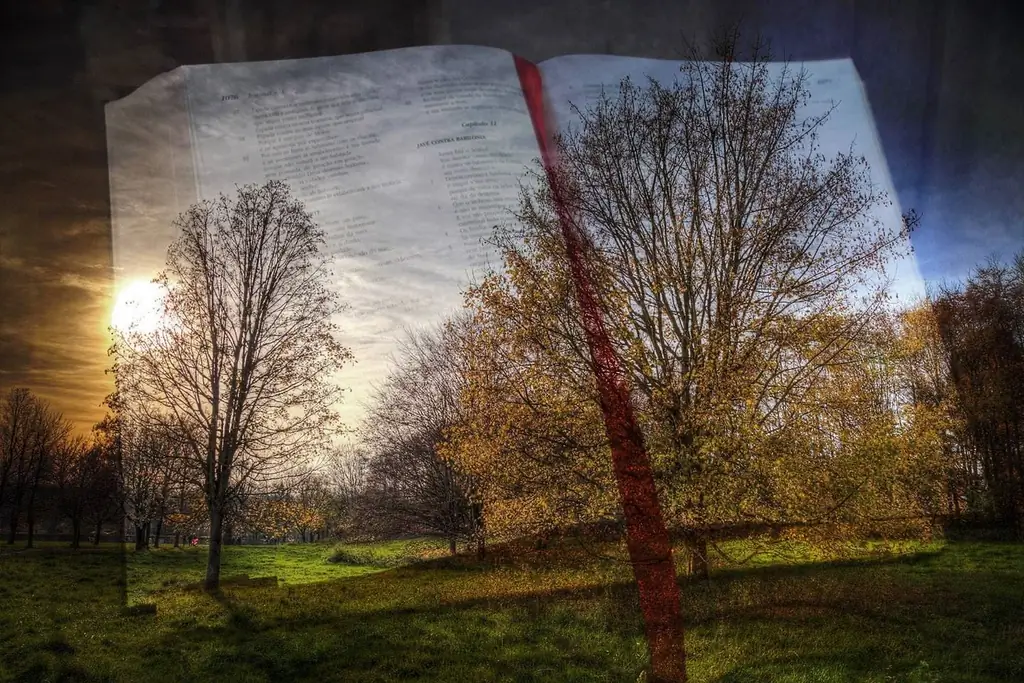 Как следование богослужебному календарю может изменить вашу жизнь