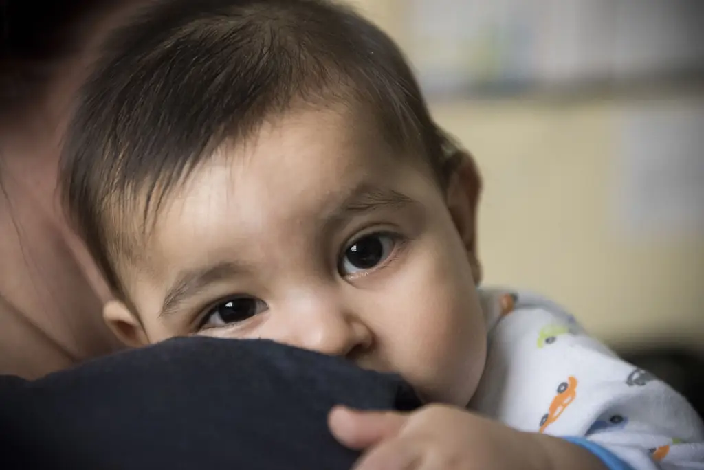 The Bells готовятся отпраздновать 1000-летие в Good Counsel Homes