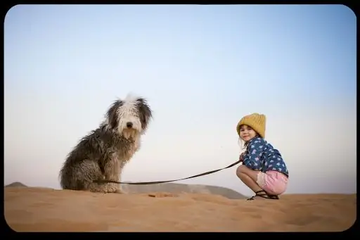 Воспитывайте детей, а не домашних животных