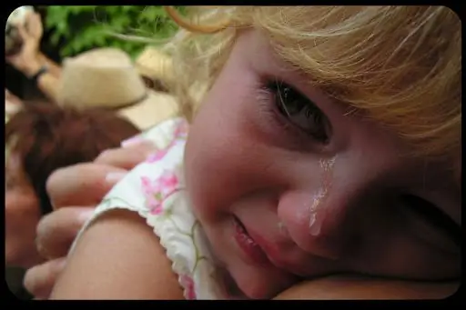 Просьба к отцам Синода: Don't Сделать развод легче