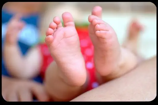 Четки на пальчиках Baby's и другие хитрости для родителей