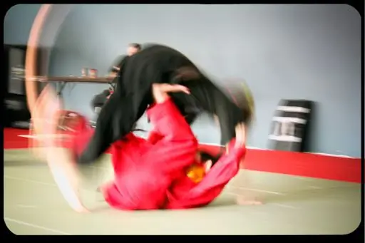 Католическое руководство по самообороне