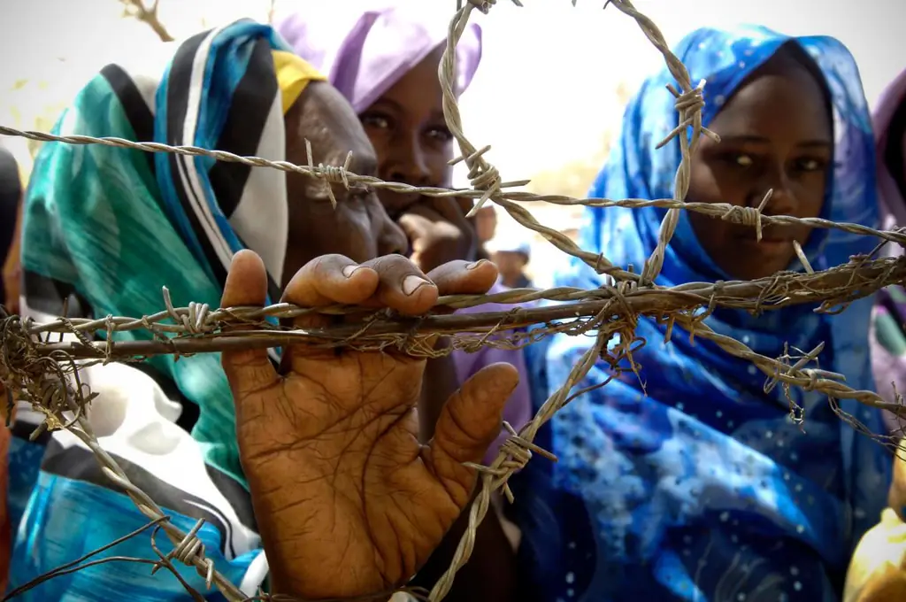 Фото ООН Тима Маккалки