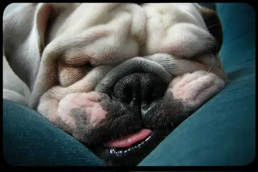 6 Скучные, неоригинальные, но абсолютно необходимые новогодние обещания