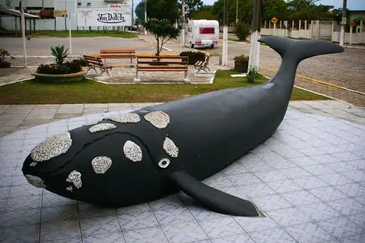 Пусть Бог разрушит ваши планы, учит Папа Франциск