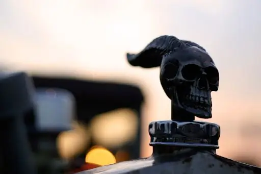 Сможет ли следующая жизнь позаботиться о себе?