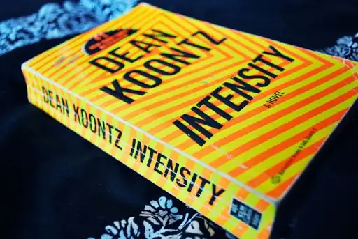 10 причин, по которым католикам следует читать Дина Кунца