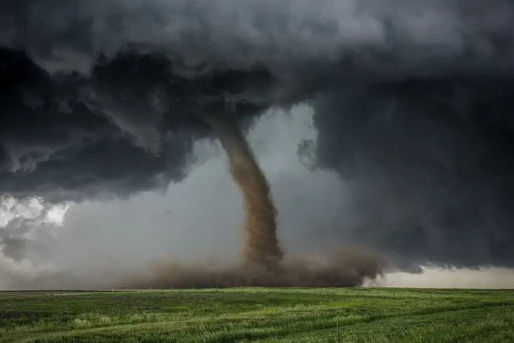 Почему милосердие вызывает у нас дискомфорт