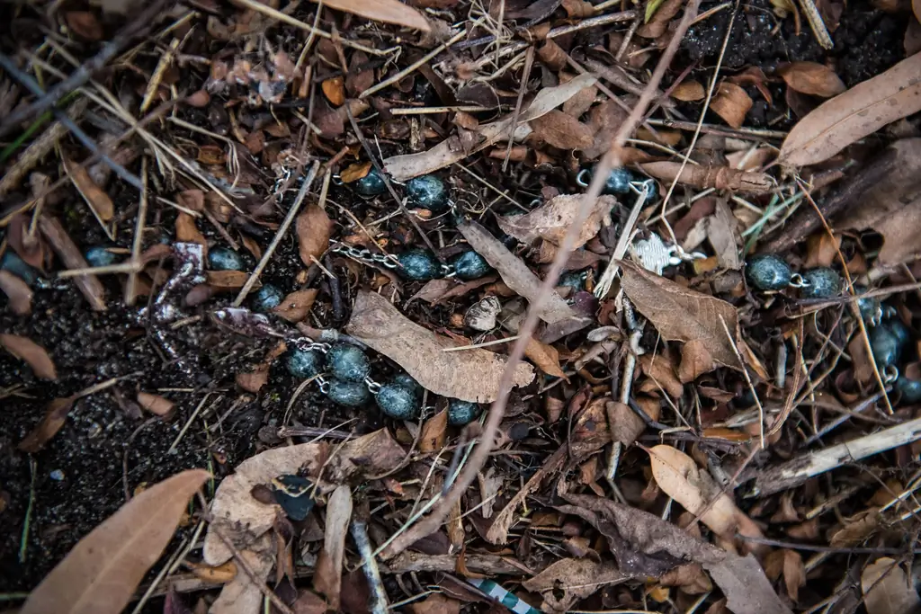 Разоренные и сломленные, благословенные и реформированные