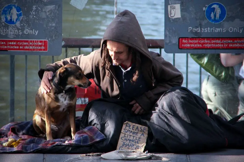 Давать то, что свято для собак