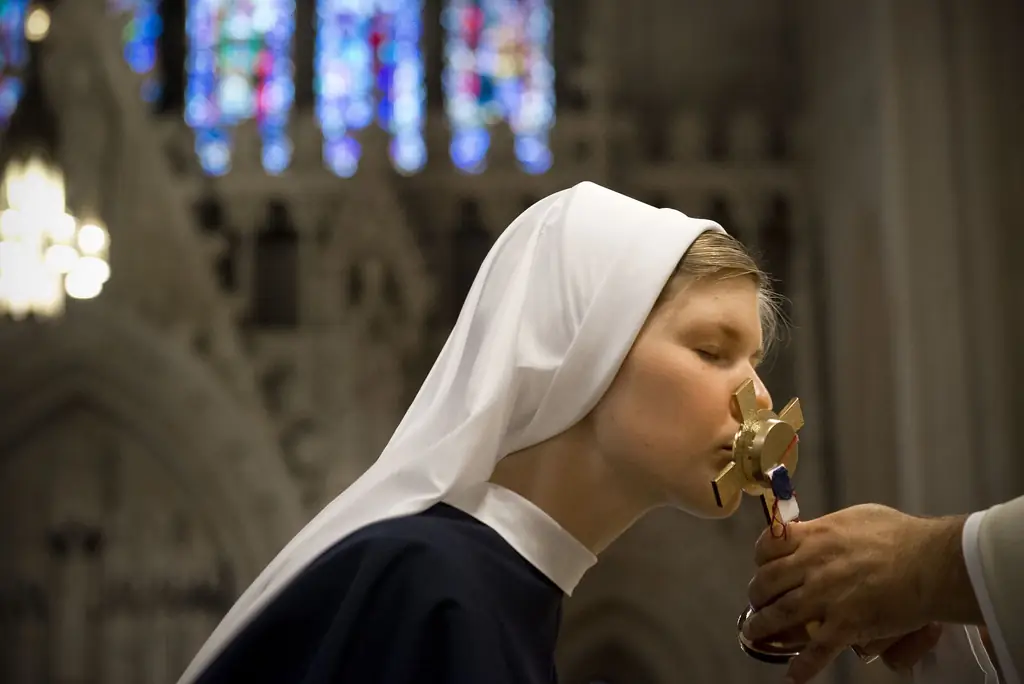 Привычка визуального свидетеля в шумном, рассеянном мире