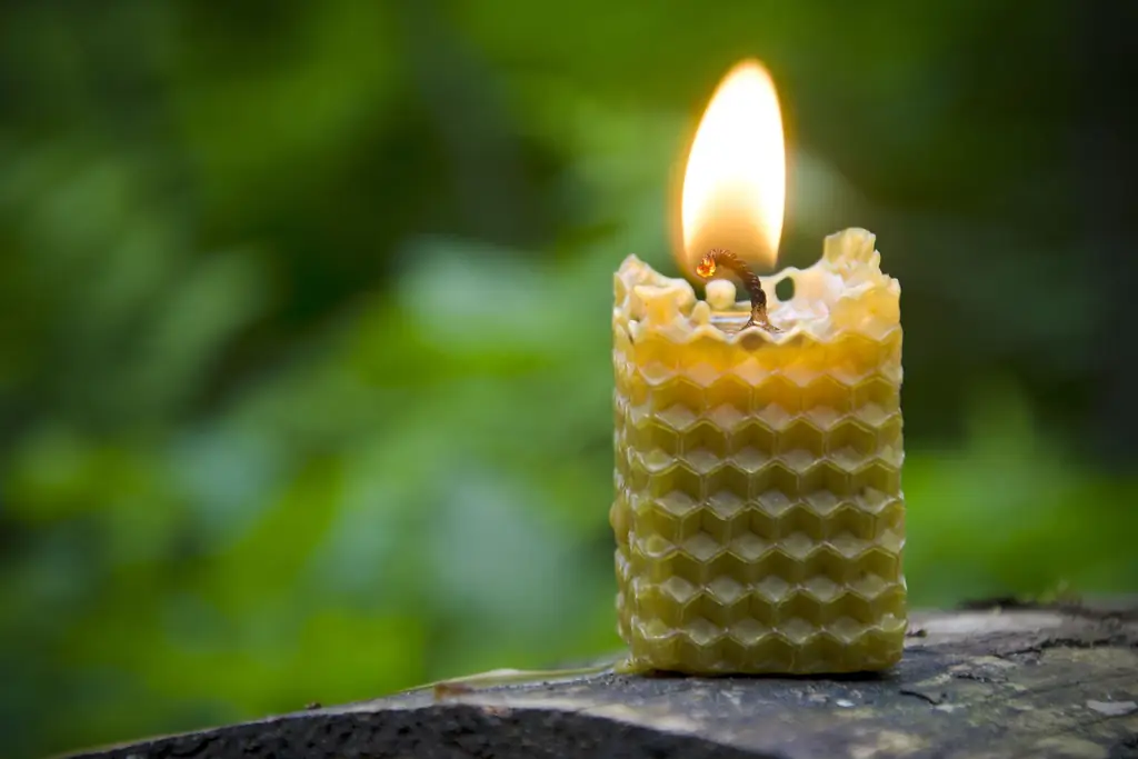 Как свечи из пчелиного воска открыли мне глаза на красоту Мессы