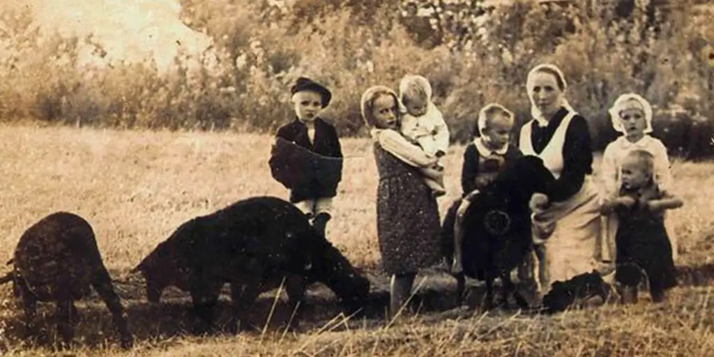 На пути к святости: семья из 9 человек убита за то, что прятала евреев в Польше