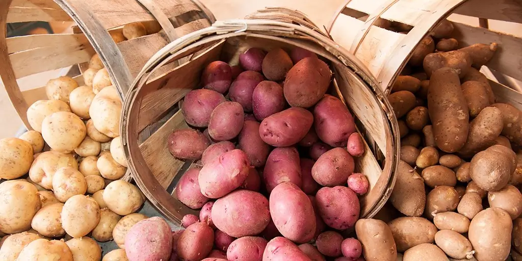 Любите картошку? Узнайте правду и мифы об этом удивительном суперпродукте