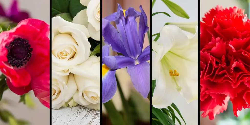 5 Цветы и их духовная символика