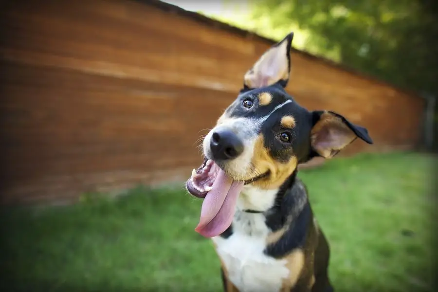 Shutterstock_259670459