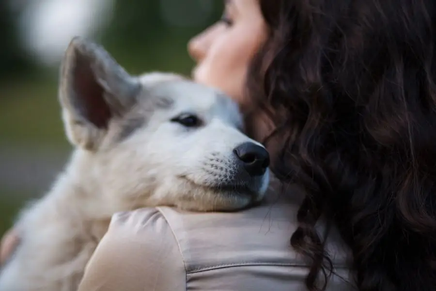 Shutterstock_288724559