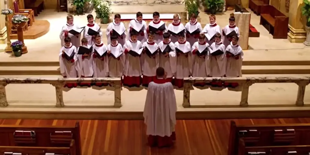 Св. Paul’s Choir School's 'Ave Maria' может успокоить дикий мир