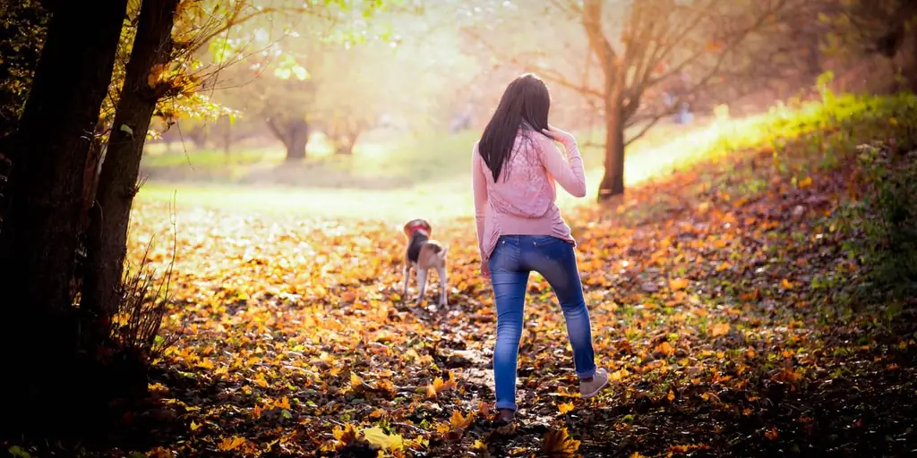 Нелогичная уловка для поиска сначала Царства Бога'