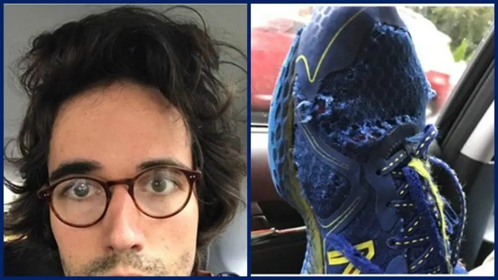 Matt_Weber_Hair_Sneaks