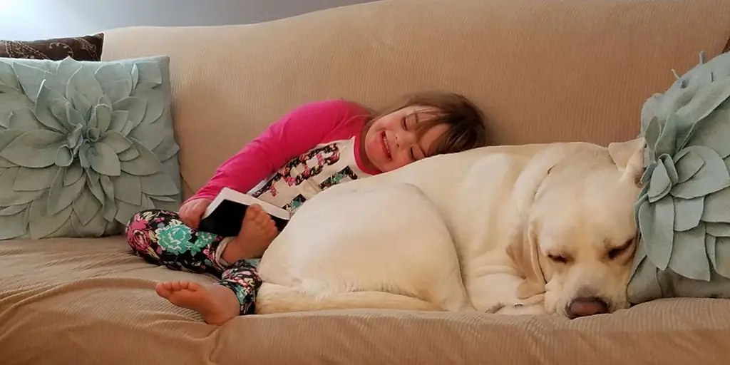 Геройская терапевтическая собака спасла 5-летнего ребенка за много миль