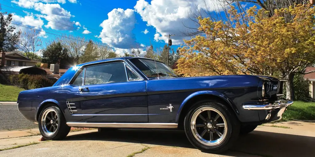 Веду домой одиночество моего папы's путешествие