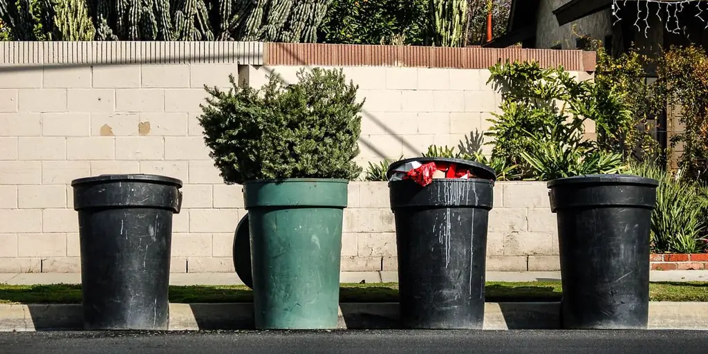 6 способов сохранить Рождество ярким в вашем сердце, когда мир начинает двигаться вперед