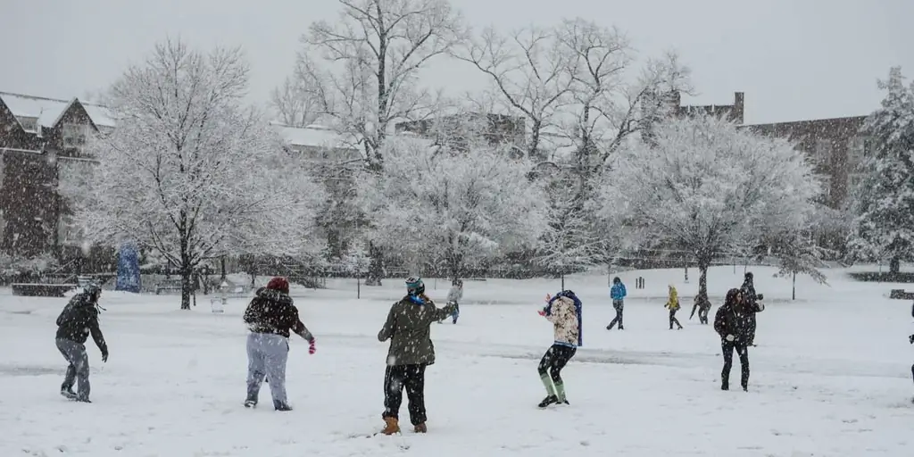 Есть ли покровитель снежных дней?