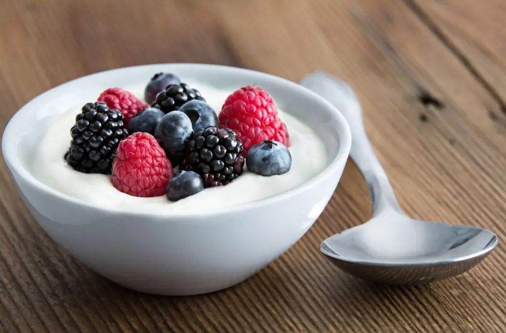 ЙОГУРТ, ЯГОДЫ, ФЕРМЕНТИРОВАННЫЕ