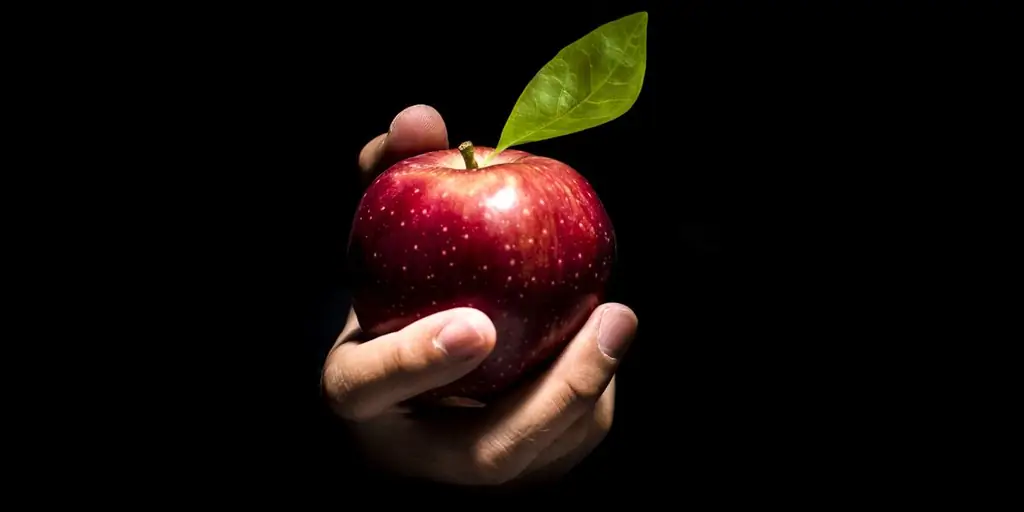 "Не введи нас в искушение": Подожди, что? Мы должны сказать Богу, чтобы он этого не делал?