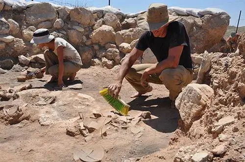 МЕСТО РАСПОЛОСА