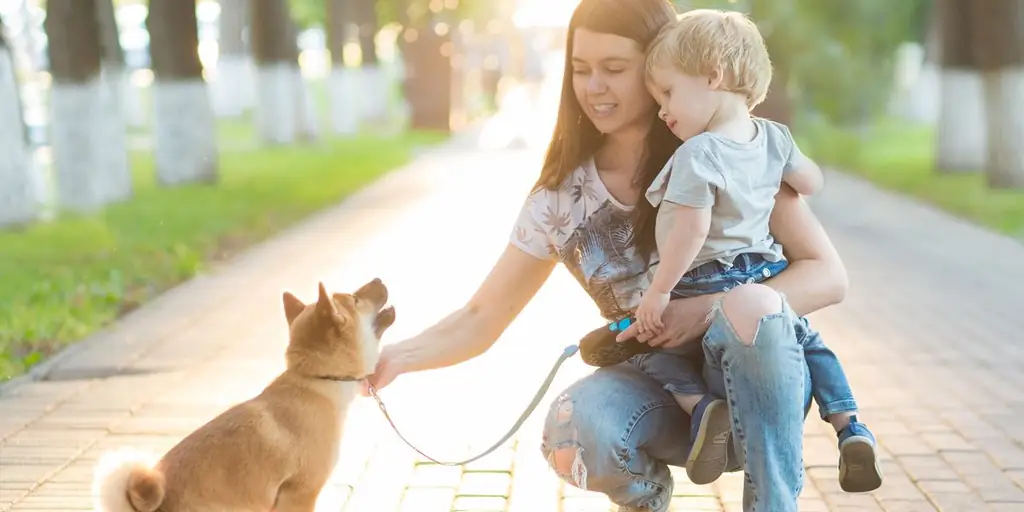 It'пришло время начать относиться к нашим маленьким мальчикам так же, как мы относимся к нашим маленьким собакам