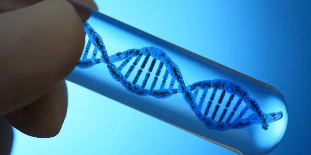 Великобритания: еще один шаг к генетическому редактированию человеческих эмбрионов