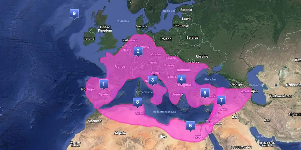Исследуйте эту интерактивную карту Древнего Рима