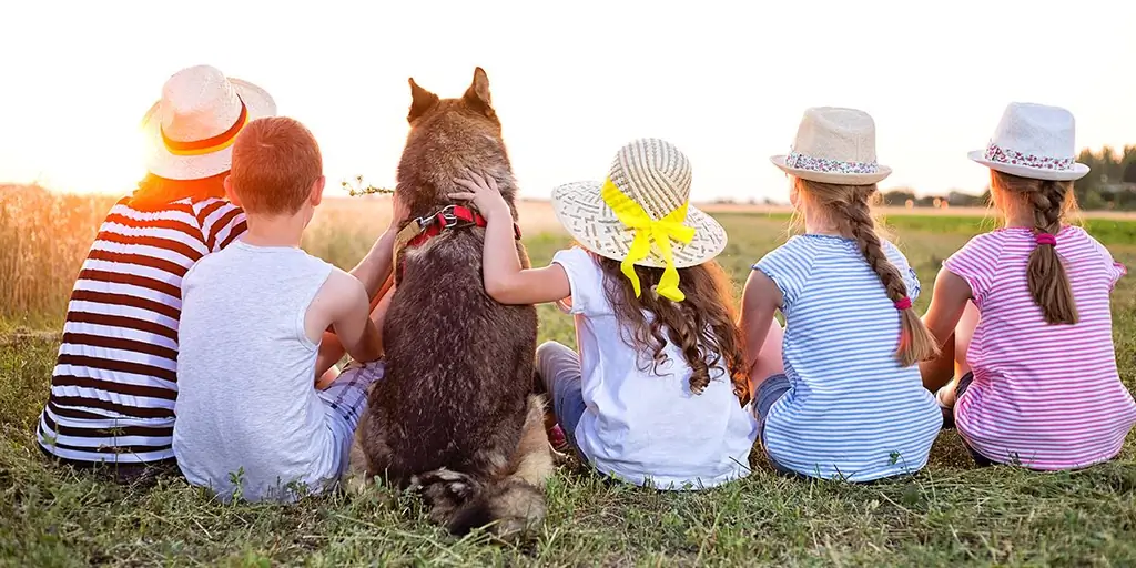 Почему рождение более 3 детей освобождает