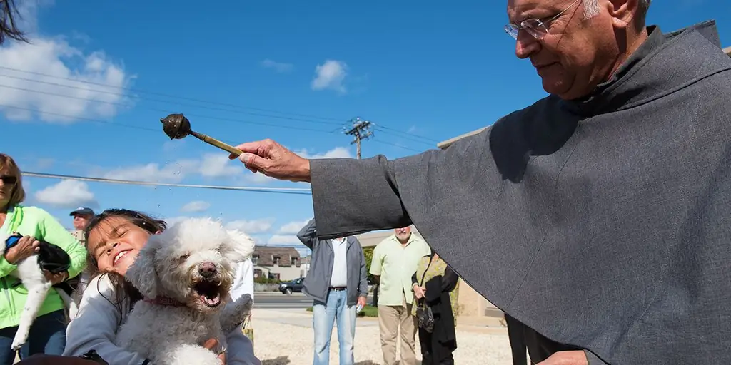 Благословение животных: вдохновляющие фотографии лап со всего мира