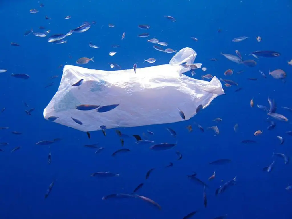 ЗАГРЯЗНЕНИЕ ОКЕАНА