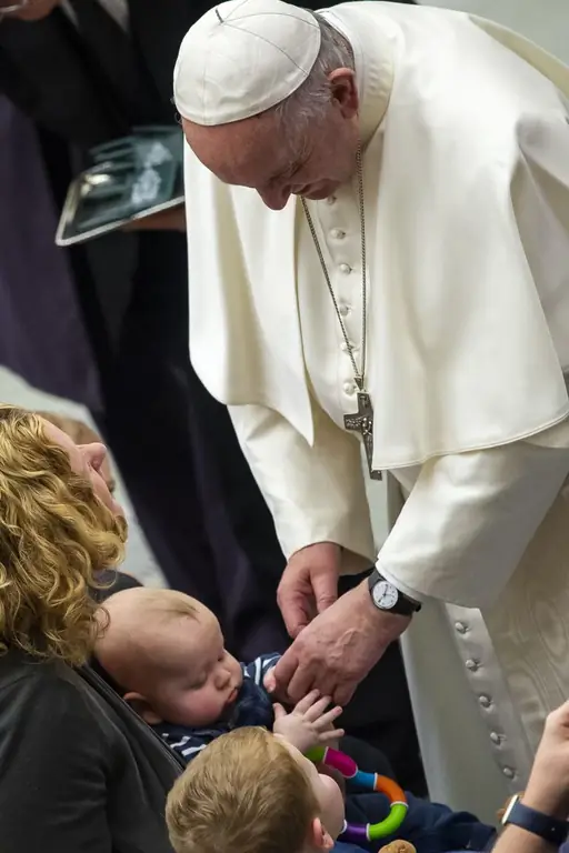 АУДИТОРИЯ ПАПА