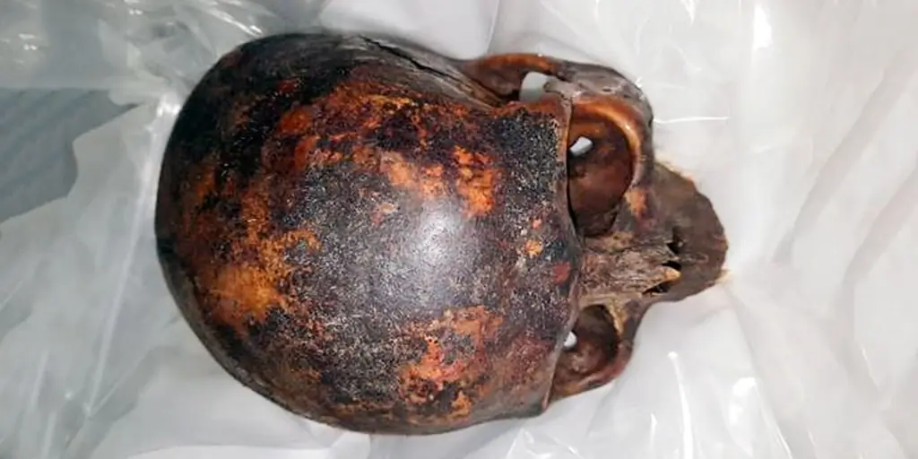 Ирландская полиция нашла украденную голову 800-летнего крестоносца