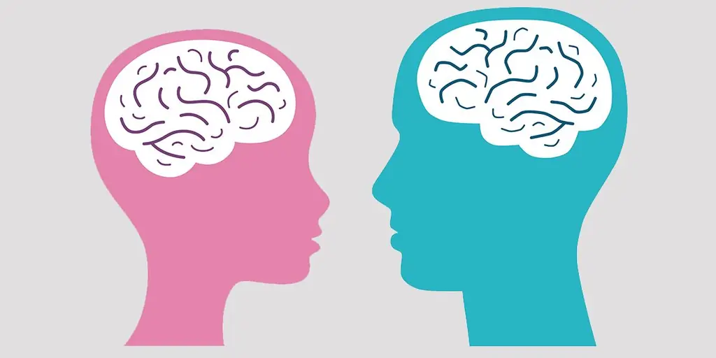 Одна из причин быть благодарным за то, что у вас женский мозг