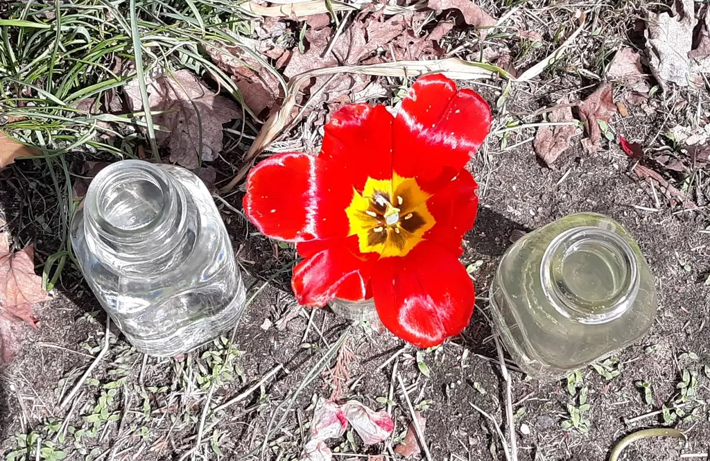 Мамы и папы, don'не бойтесь заниматься любимым делом