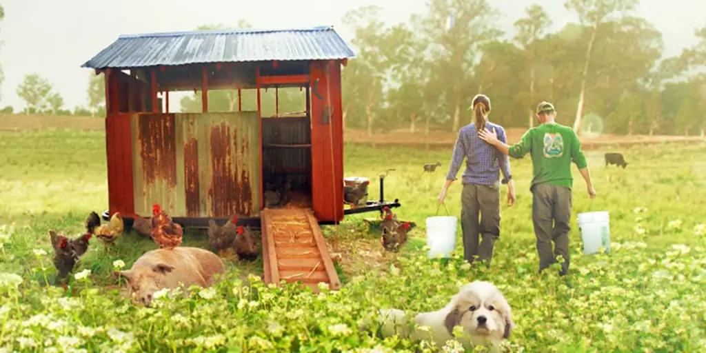 'Самая большая маленькая ферма' это современная история о Ноевом ковчеге