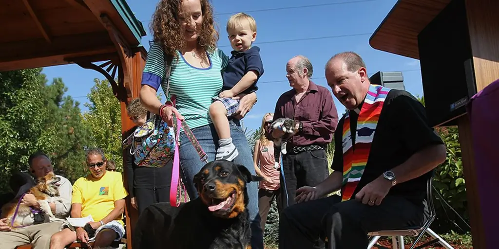 4 Простые способы отпраздновать праздник Святого Франциска в кругу семьи